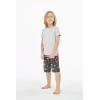 imageBoys Spandex Hawaiian Beach Board Shorts with Elastic Tie and Pocket in Flamingo PartyClassic Hibiscus in Blue