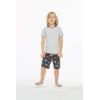 imageBoys Spandex Hawaiian Beach Board Shorts with Elastic Tie and Pocket in Flamingo PartyClassic Hibiscus in Blue