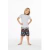 imageBoys Spandex Hawaiian Beach Board Shorts with Elastic Tie and Pocket in Flamingo PartyClassic Hibiscus in Blue