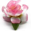 imageHawaii Luau Party Artificial Fabric Gardenia Hair ClipsLight Pink Edge
