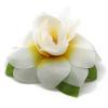imageHawaii Luau Party Artificial Fabric Gardenia Hair ClipsWhite Yellow Heart
