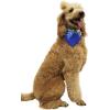 imageMatchable Family Hawaiian Luau Men Women Girl Boy Clothes in Hibiscus BlueDog Bandana