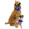 imageMatchable Family Hawaiian Luau Men Women Girl Boy Clothes in Hibiscus BlueDog Bandana