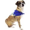 imageMatchable Family Hawaiian Luau Men Women Girl Boy Clothes in Hibiscus BlueDog Bandana