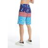 imageMens Spandex Hawaiian Beach Board Shorts with Zipped Pocket in Flamingo PartyLady Liberty Luau