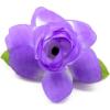 Blue Purple