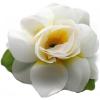 White Yellow Heart