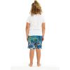 imageBoys Spandex Hawaiian Beach Board Shorts with Elastic Tie and Pocket in Faded FloralVintage Surf Blue
