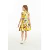imageGirl Hawaiian Vintage Fit and Flare Dress in Sunset with DolphinShirt Dress in Sunset and Dolphin Yellow