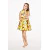 imageGirl Hawaiian Vintage Fit and Flare Dress in Sunset with DolphinSunset With Dolphin in Yellow