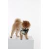 imageMatchable Family Hawaiian Luau Men Women Girl Boy Clothes in Wispy Cereus BlackDog Bandana