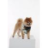 imageMatchable Family Hawaiian Luau Men Women Girl Boy Clothes in Wispy Cereus BlackDog Bandana