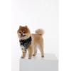 imageMatchable Family Hawaiian Luau Men Women Girl Boy Clothes in Wispy Cereus BlackDog Bandana