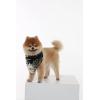 imageMatchable Family Hawaiian Luau Men Women Girl Boy Clothes in Wispy Cereus BlackDog Bandana