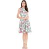 imageHawaii Hangover Womens Vintage Fit and Flare Dress in Flamingo in LoveFlamingo in Love