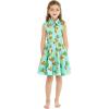 imageMatchable Family Hawaiian Luau Men Women Girl Boy Clothes in Pineapple Skull TurquoiseGirl Collar Shirt Dress