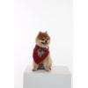 imageMatchable Family Hawaiian Luau Men Women Girl Boy Clothes in Pineapple Garden BurgundyDog Bandana
