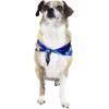 imageMatchable Family Hawaiian Luau Men Women Girl Boy Clothes in Sunset BlueDog Bandana