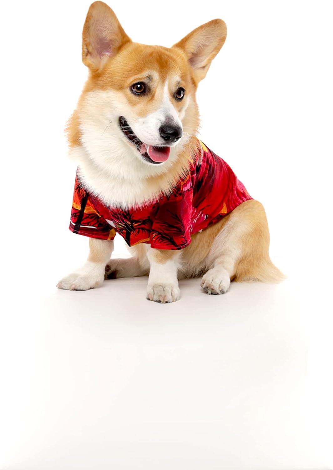 imageMatchable Family Hawaiian Luau Men Women Girl Boy Clothes in Sunset RedDog Shirt