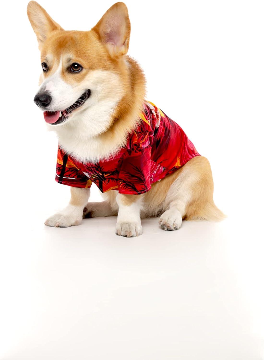 imageMatchable Family Hawaiian Luau Men Women Girl Boy Clothes in Sunset RedDog Shirt