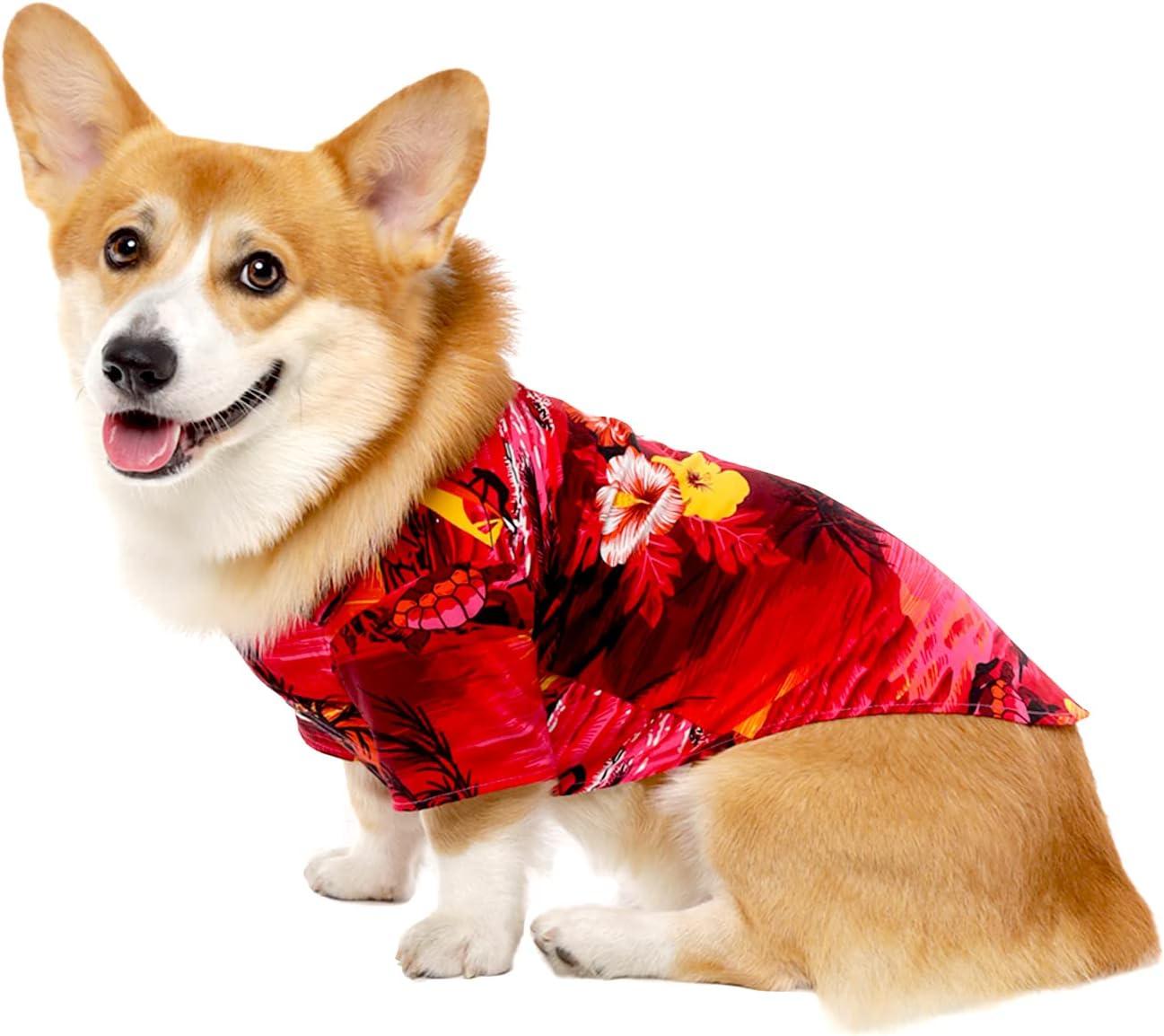 imageMatchable Family Hawaiian Luau Men Women Girl Boy Clothes in Sunset RedDog Shirt