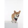 imageMatchable Family Hawaiian Luau Men Women Girl Boy Clothes in Blooming LilyDog Bandana