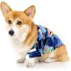 imageMatchable Family Hawaiian Luau Men Women Girl Boy Clothes in Sunset BlueDog Shirt