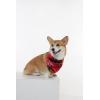 imageMatchable Family Hawaiian Luau Men Women Girl Boy Clothes in Sunset RedDog Bandana