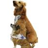 imageMatchable Family Hawaiian Luau Men Women Girl Boy Clothes in Day Dream BloomDog Bandana