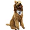 imageMatchable Family Hawaiian Luau Men Women Girl Boy Clothes in Day Dream BloomDog Bandana