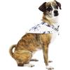 imageMatchable Family Hawaiian Luau Men Women Girl Boy Clothes in Day Dream BloomDog Bandana
