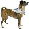 imageMatchable Family Hawaiian Luau Men Women Girl Boy Clothes in Day Dream BloomDog Bandana