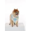 imageMatchable Family Hawaiian Luau Men Women Girl Boy Clothes in Pacific Palm CreamDog Bandana