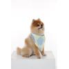imageMatchable Family Hawaiian Luau Men Women Girl Boy Clothes in Pacific Palm CreamDog Bandana
