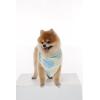 imageMatchable Family Hawaiian Luau Men Women Girl Boy Clothes in Pacific Palm CreamDog Bandana