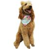imageMatchable Family Hawaiian Luau Men Women Girl Boy Clothes in Pink Hibiscus Vine TurquoiseDog Bandana