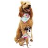 imageMatchable Family Hawaiian Luau Men Women Girl Boy Clothes in Pink Hibiscus Vine TurquoiseDog Bandana