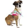 imageMatchable Family Hawaiian Luau Men Women Girl Boy Clothes in Pink Hibiscus Vine TurquoiseDog Bandana