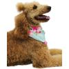 imageMatchable Family Hawaiian Luau Men Women Girl Boy Clothes in Pink Hibiscus Vine TurquoiseDog Bandana