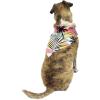 imageMatchable Family Hawaiian Luau Men Women Girl Boy Clothes in Neon Sunset PinkDog Bandana