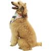 imageMatchable Family Hawaiian Luau Men Women Girl Boy Clothes in Neon Sunset PinkDog Bandana