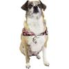 imageMatchable Family Hawaiian Luau Men Women Girl Boy Clothes in Neon Sunset PinkDog Bandana