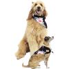 imageMatchable Family Hawaiian Luau Men Women Girl Boy Clothes in Hibiscus BlackDog Bandana