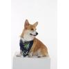 imageMatchable Family Hawaiian Luau Men Women Girl Boy Clothes in Pineapple Garden NavyDog Bandana