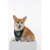 imageMatchable Family Hawaiian Luau Men Women Girl Boy Clothes in Pineapple Garden NavyDog Bandana
