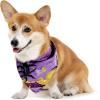 imageMatchable Family Hawaiian Luau Men Women Girl Boy Clothes in Sunset PurpleDog Bandana
