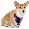 imageMatchable Family Hawaiian Luau Men Women Girl Boy Clothes in Sunset PurpleDog Bandana