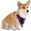 imageMatchable Family Hawaiian Luau Men Women Girl Boy Clothes in Sunset PurpleDog Bandana