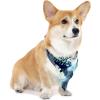imageMatchable Family Hawaiian Luau Men Women Girl Boy Clothes in Orchid Breeze NavyDog Bandana