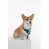 imageMatchable Family Hawaiian Luau Men Women Girl Boy Clothes in Orchid Breeze NavyDog Bandana